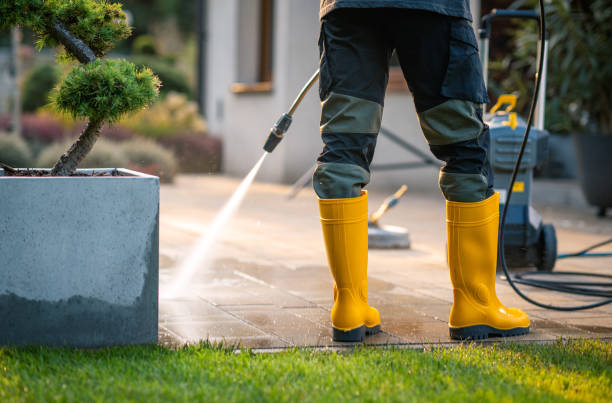 Best Local Pressure Washing Services  in Hyattsville, MD